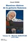 Maestros de la Guitarra Flamenca (Libros de partituras), Manolo Sanlúcar Vol-2
