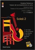 Treatise of Accompaniment to "El Cante"- La Soleá 2 - (DVD/Book) - David Leiva