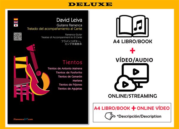 Tratado del Acompañamiento al Cante - Tientos- (Libro A4, Video online) - David Leiva