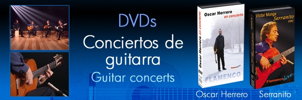 Guitarrist concerts